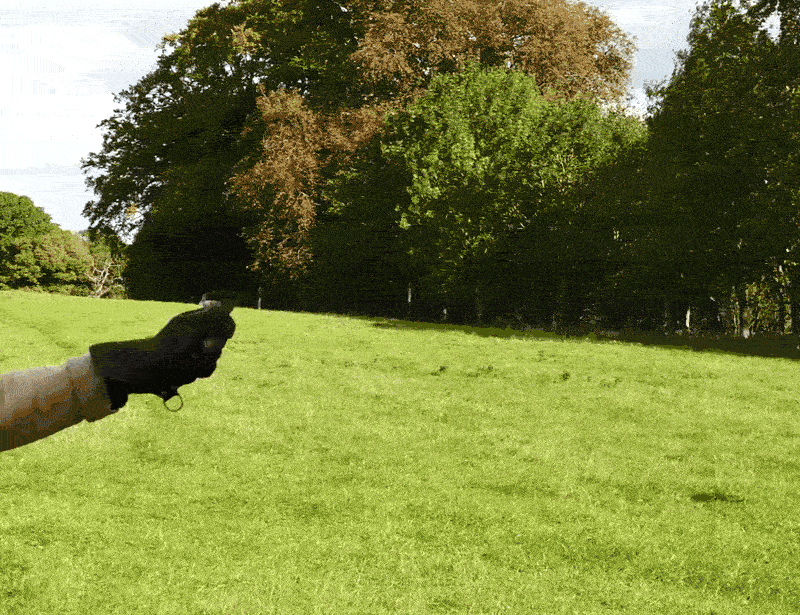 perching_preview.gif